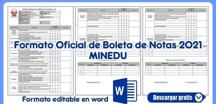 Boletas de Información 2021 Inicial, Primaria y Secundaria en Word y Excel EDITABLE