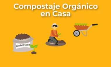Compostaje Orgánico en Casa Curso Gratis