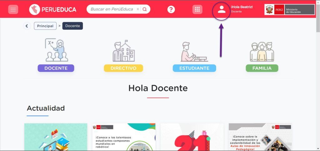 Cambiar perfil en PeruEduca