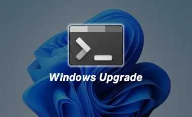 Actualizar toda las aplicaciones de Windows con Winget