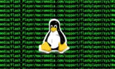 Curso de línea de comandos en Linux desde cero