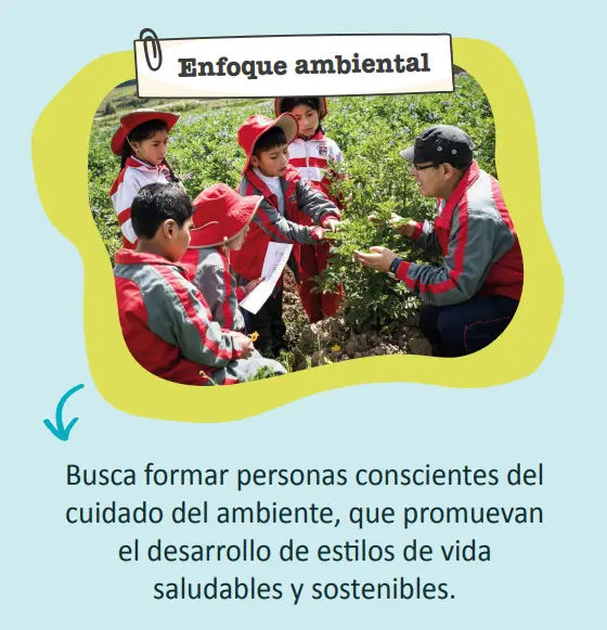 Enfoque ambiental