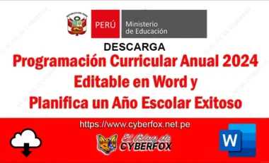 Programación Curricular Anual 2024