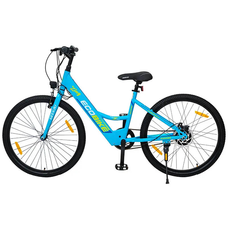 Zing Eco-Bike Electric Cycle