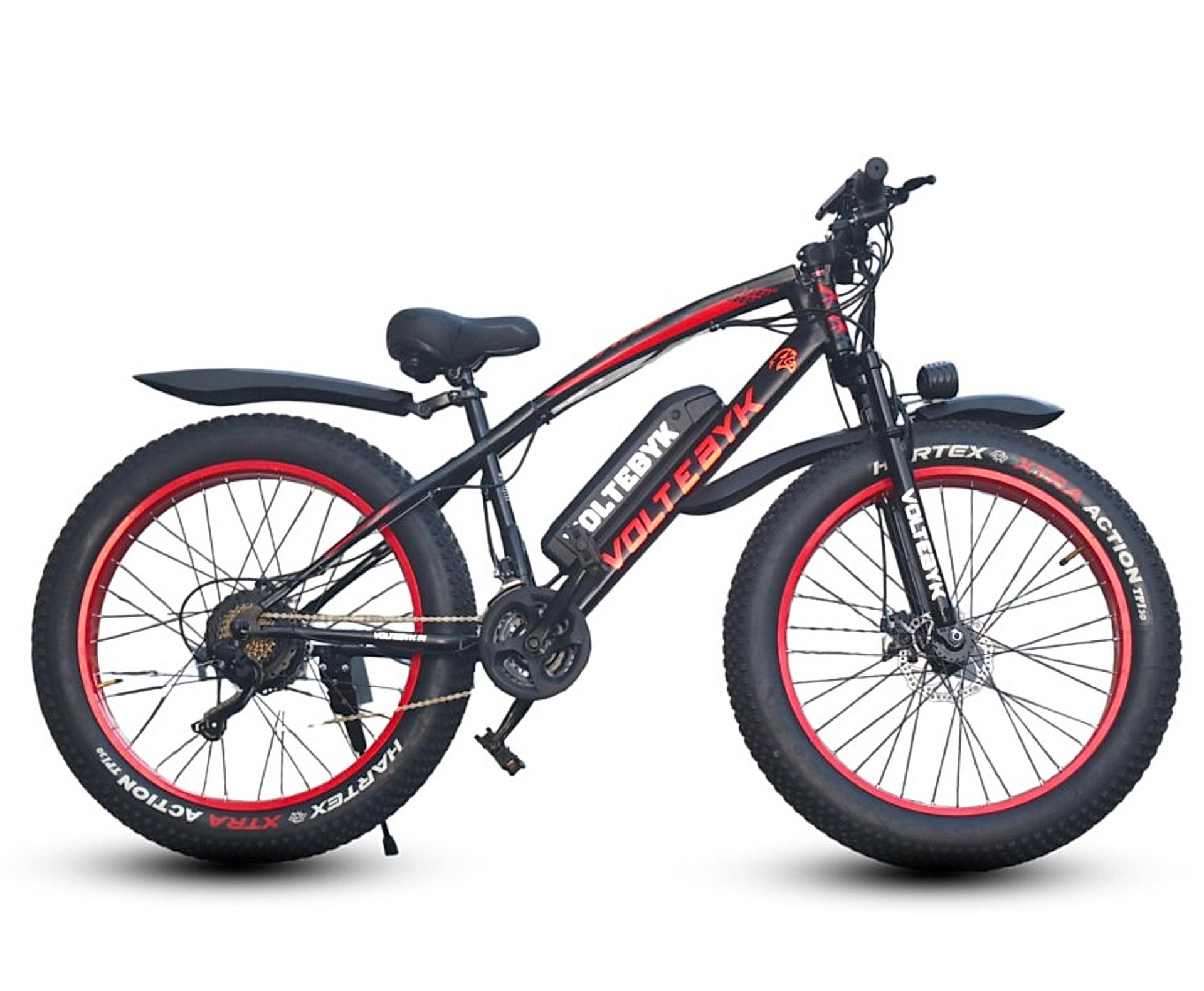 Runner Pro Electric Fatbike