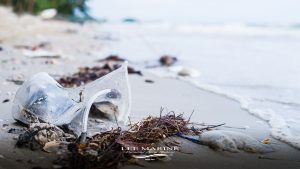 trash on beach