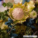 Venue Hire and Event Vendors and service providers in south africa