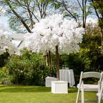 Venue Hire and Event Vendors and service providers in south africa