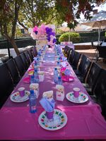 Perfect Plush Decor is a Decor and Party Accessories from Gauteng | Book them on EventBookr South Africa