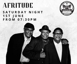 Afritude - Band in Durban