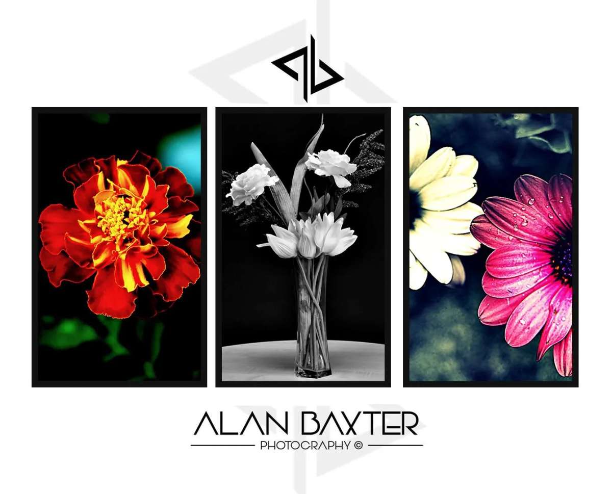 https://ik.imagekit.io/czzfxeud6c/EventBookr/members/6666d43401f565de9c4fa809/Alan_Baxter_Photography_1_rDnOp60py.jpg
