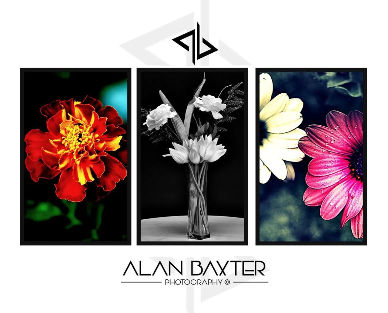 Alan Baxter Photography cover image