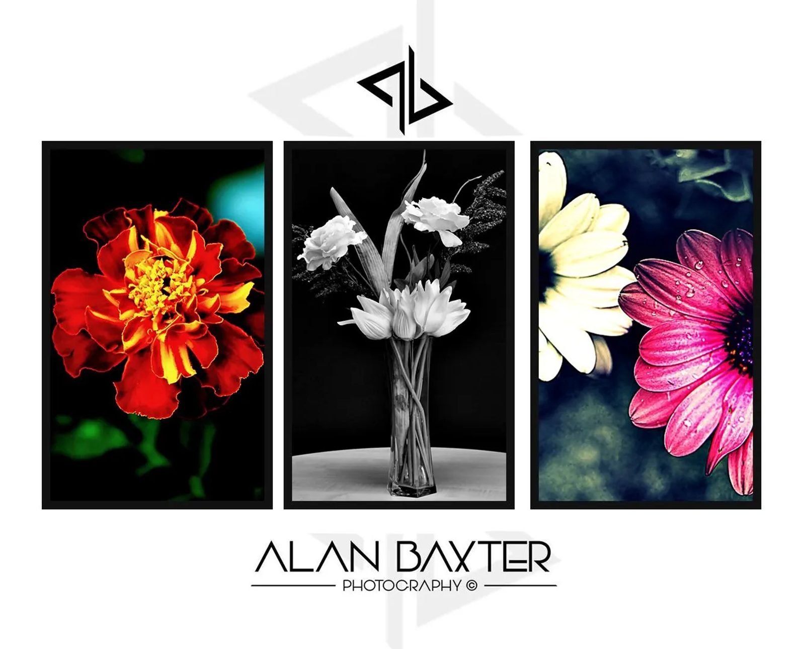 https://ik.imagekit.io/czzfxeud6c/EventBookr/members/6666d43401f565de9c4fa809/Alan_Baxter_Photography_1_rDnOp60py.jpg