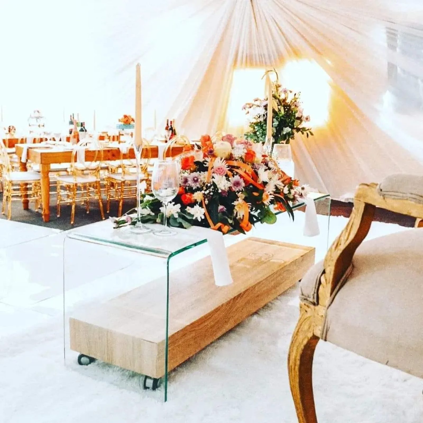 https://ik.imagekit.io/czzfxeud6c/EventBookr/members/6667435df6882ab5ebc1a2ca/wILD_oLIVE_eVENTS_6_eqIWWV72X.jpg