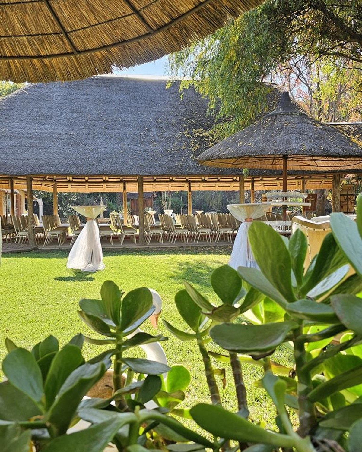 Event venue, vendors, and service providers in South Africa
