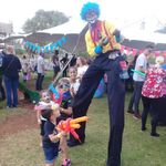 Captain P is a Circus from Gauteng | Book them on EventBookr South Africa