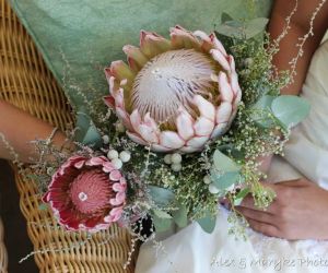 Alex & Maryke Photography & Video - Photographers in Cape Town