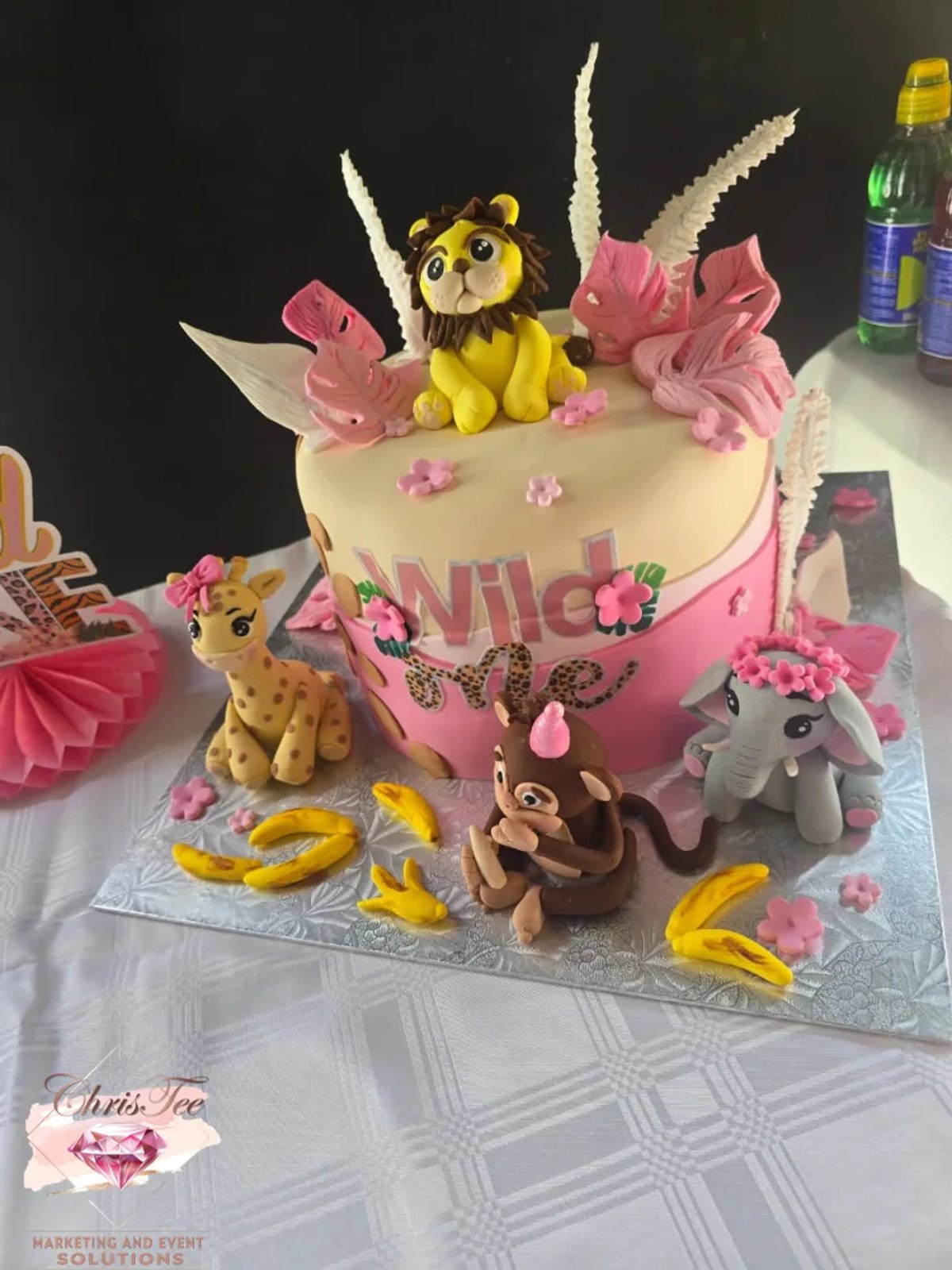 Event venue, vendors, and service providers in South Africa