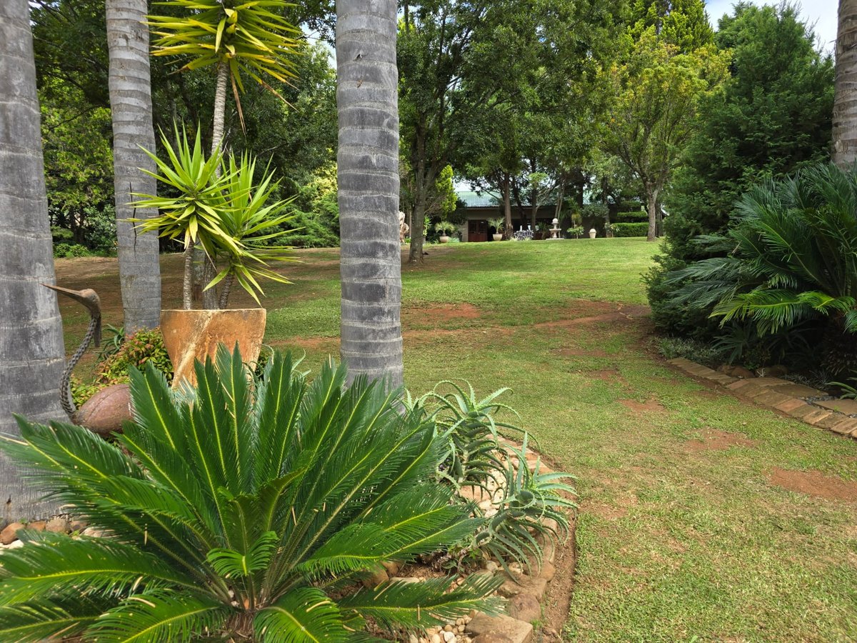 Event venue, vendors, and service providers in South Africa
