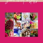 Venue Hire and Event Vendors and service providers in south africa
