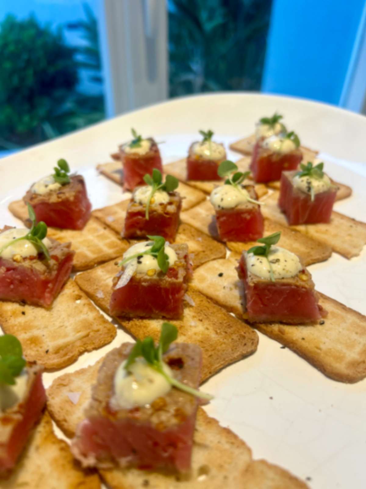 https://ik.imagekit.io/czzfxeud6c/EventBookr/members/697d16c38717e800ca5ebc3a/IMG_3414_UYj8GXAQI.jpeg