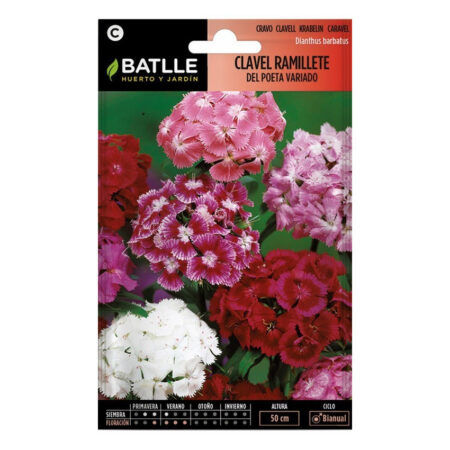 semillas clavel ramillete del poeta variado