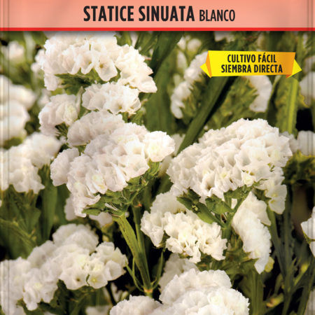 Semillas Statice Sinuata Blanco