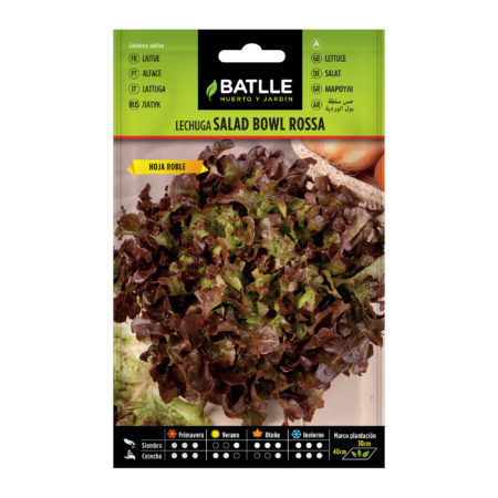 Semillas Lechuga Hoja De Roble Roja