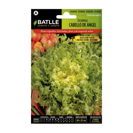 Semillas Escarola Cabello de Angel