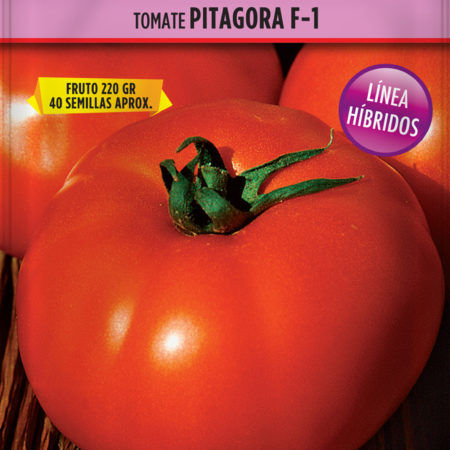 Tomate Pitagora F1