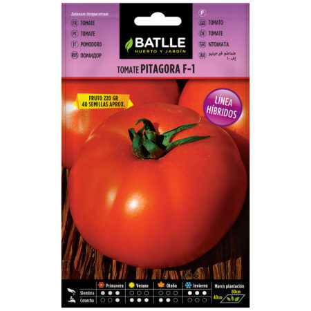 Semillas Tomate Pitagora