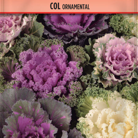 Semillas Col Ornamental Variada