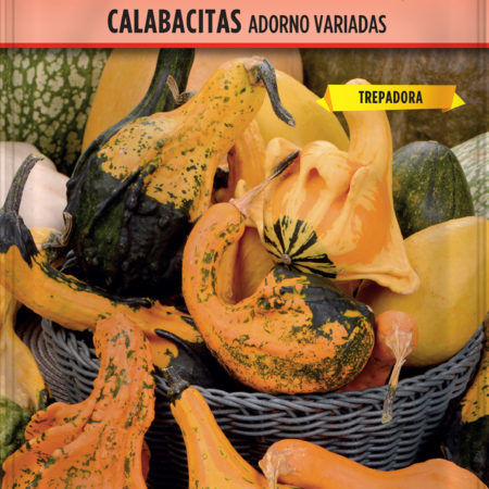 Semillas Calabacitas Adorno Variadas