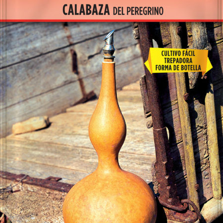 Semillas Calabaza Del Peregrino