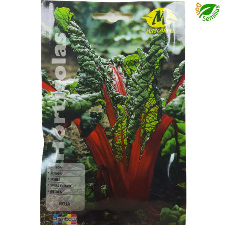 Semillas Acelga Roja Mascarell