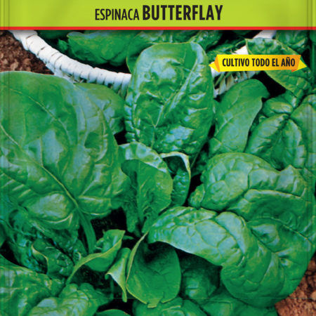 Semillas Espinaca Butterflay