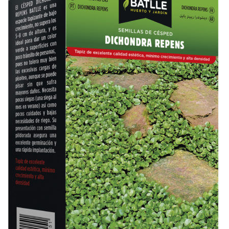Semillas Dichondra Repens