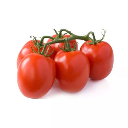Plantel Tomate de Pera de Mata Baja