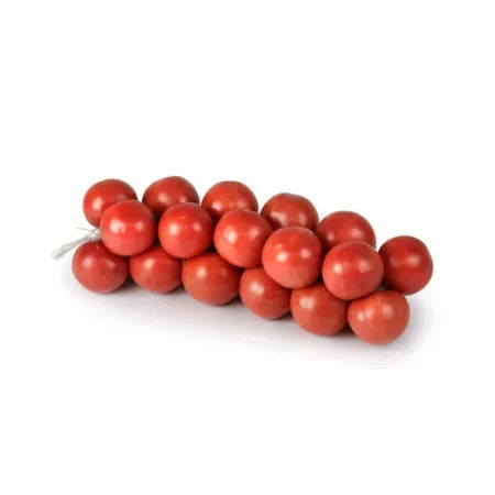 Plantel Tomate Colgar