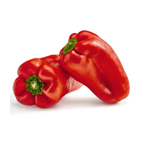 Plantel Pimiento 4 Cantos