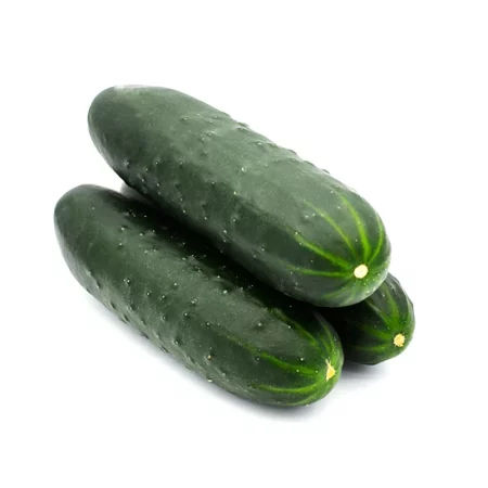 Plantel Pepino Largo