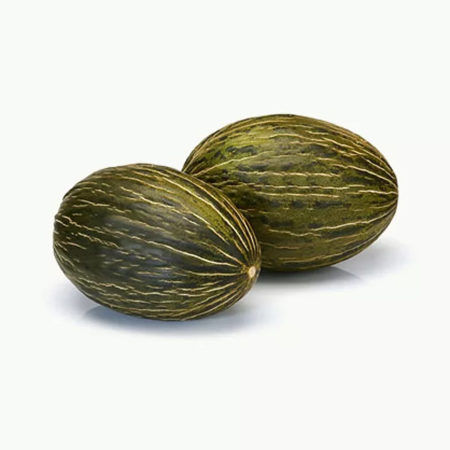 Plantel Melón Híbrido Sancho