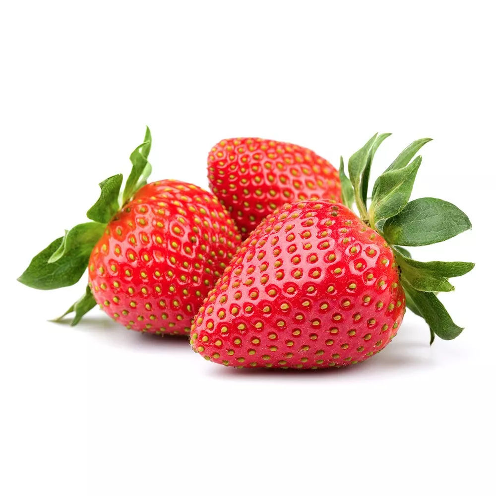 Plantel fresas