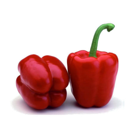 Plantel Pimiento Morrongo