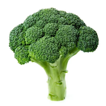 Brócoli