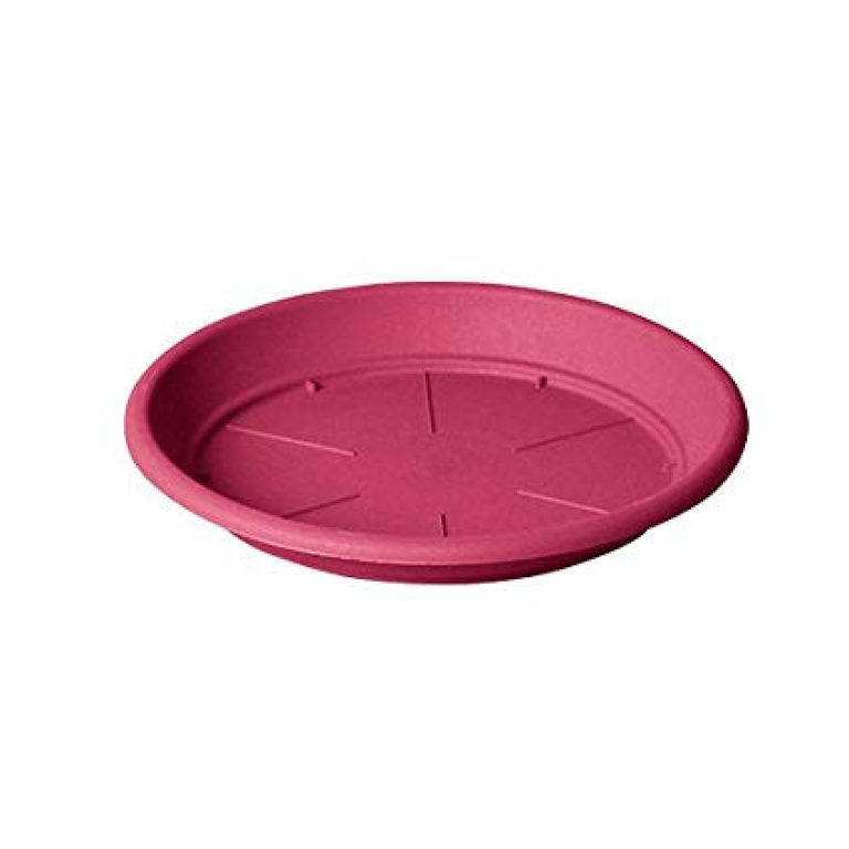 Plato basic color fucsia