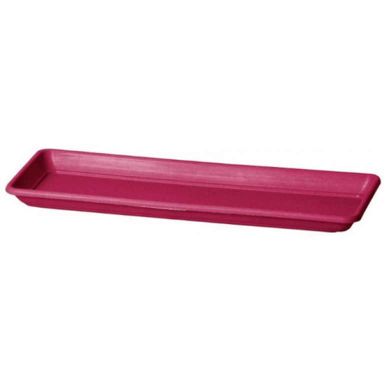 plato jardinera color fucsia