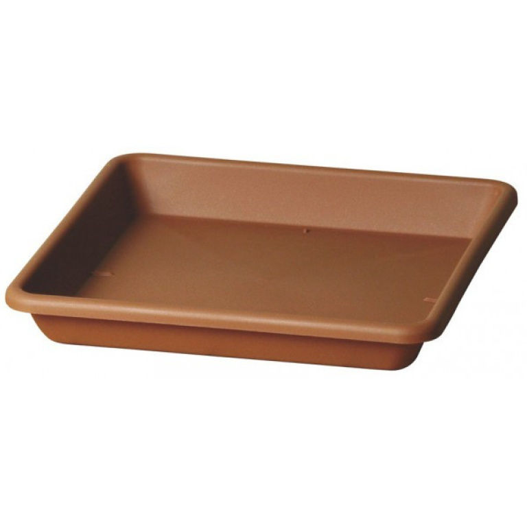 Plato quadro basic terracota