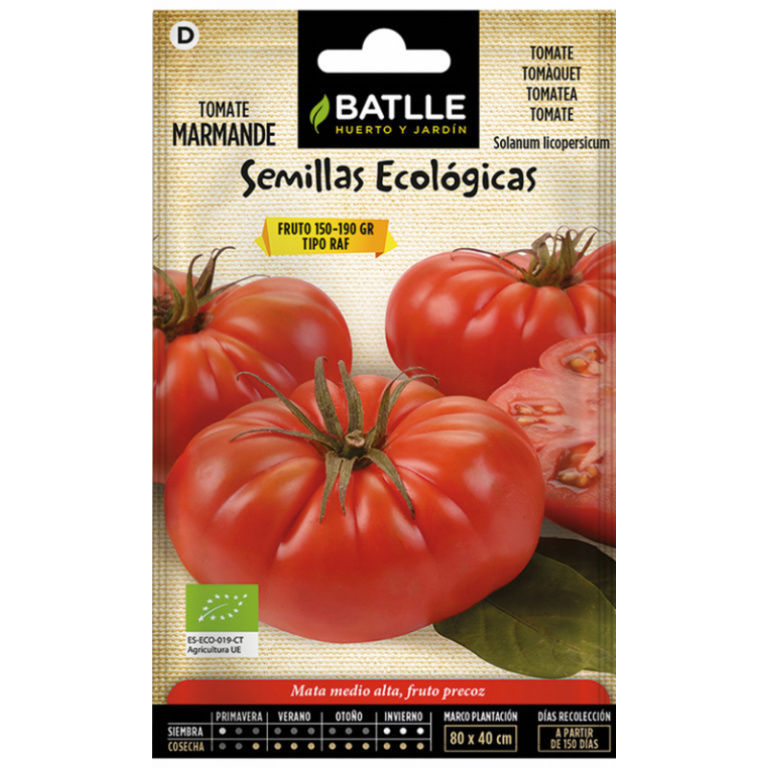 TOMATE MARMANDE ECO