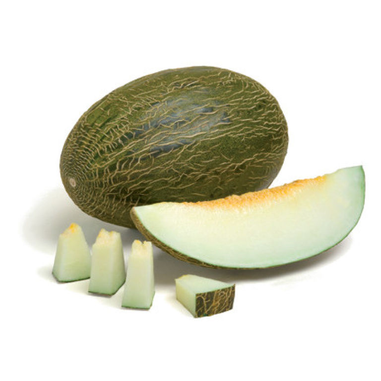 Plantel Melón Piel de Sapo